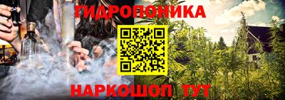 ECSTASY Кингисепп