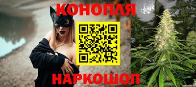 гашик Кинель