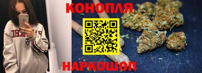 гашик Кинель