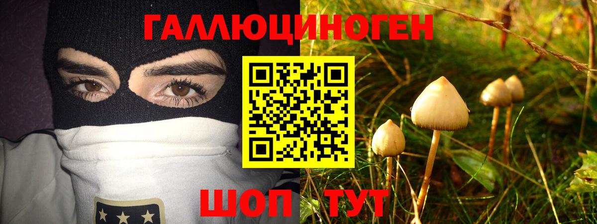 Галлюциногенные грибы прущие грибы Губкинский